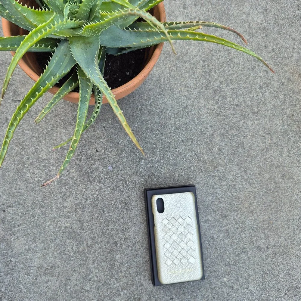 NIB Bottega Veneta Intrecciato Leather iPhone X Case in Platinum